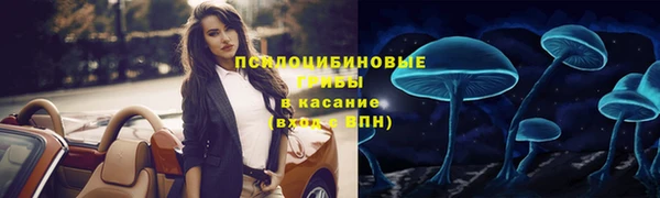 соль курить ск Алзамай