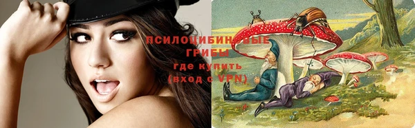 соль курить ск Алзамай