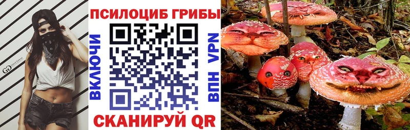 Галлюциногенные грибы мухоморы  цена наркотик  Темрюк 